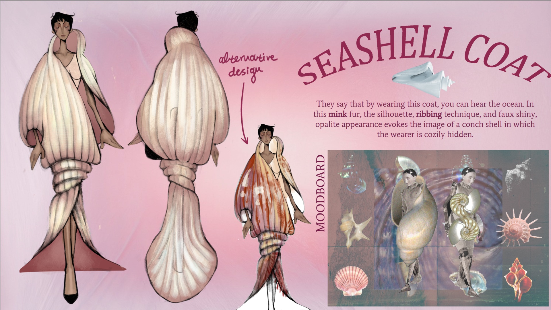 seashell